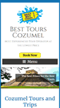Mobile Screenshot of bestbuytourscozumel.com